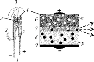 Светодиод в разрезе и структура полупроводникового чипа